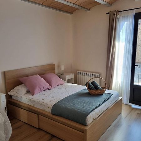 Appartement El Niu Dels Ocells à Sant Joan de les Abadesses Extérieur photo